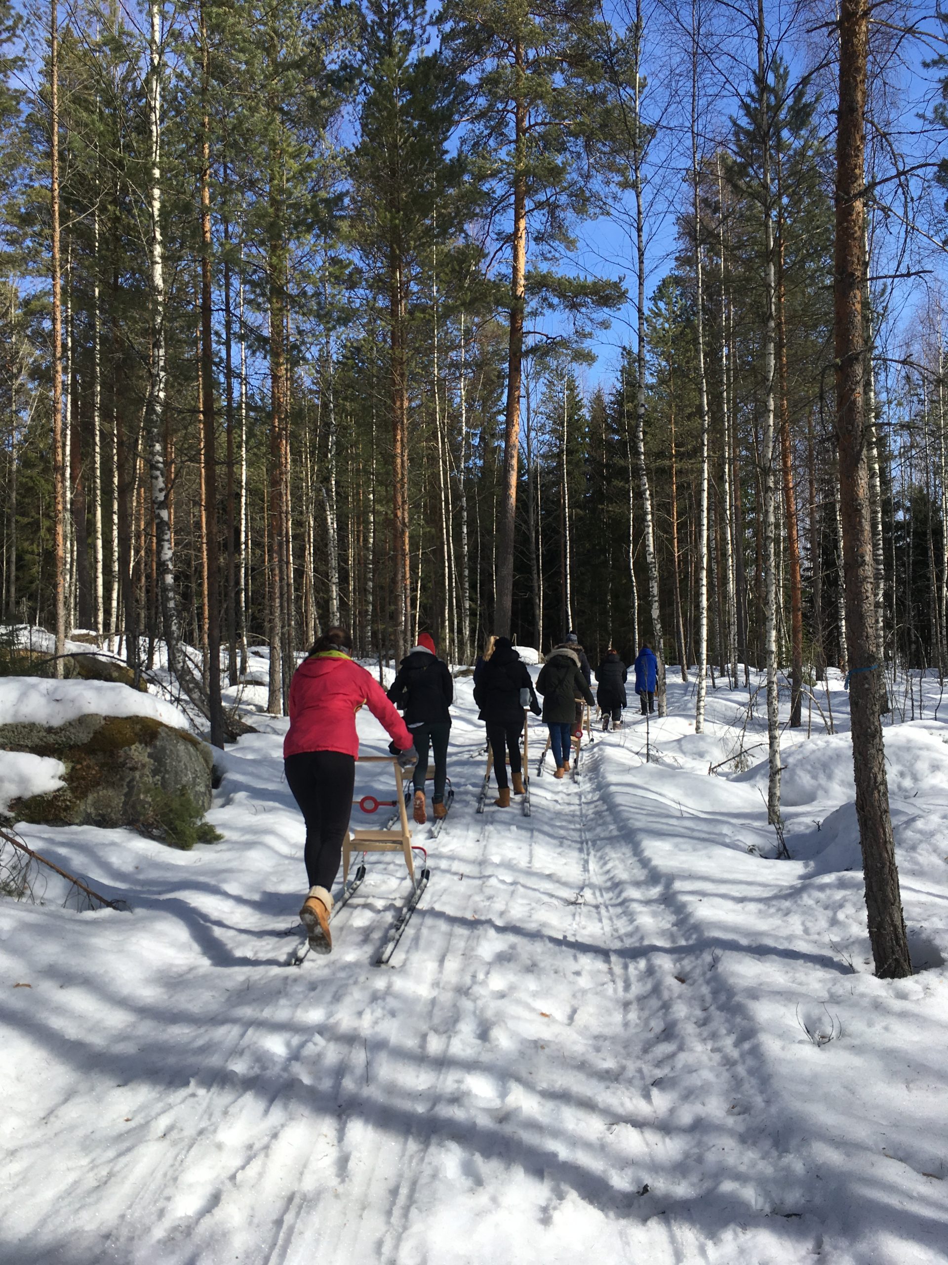 Aurinkoisella säällä potkukelkka luistaa.
